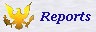 REPORTS