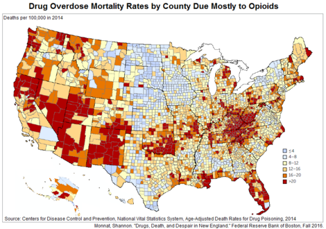 Drug overdose mortality rates by county due mostly to opioids